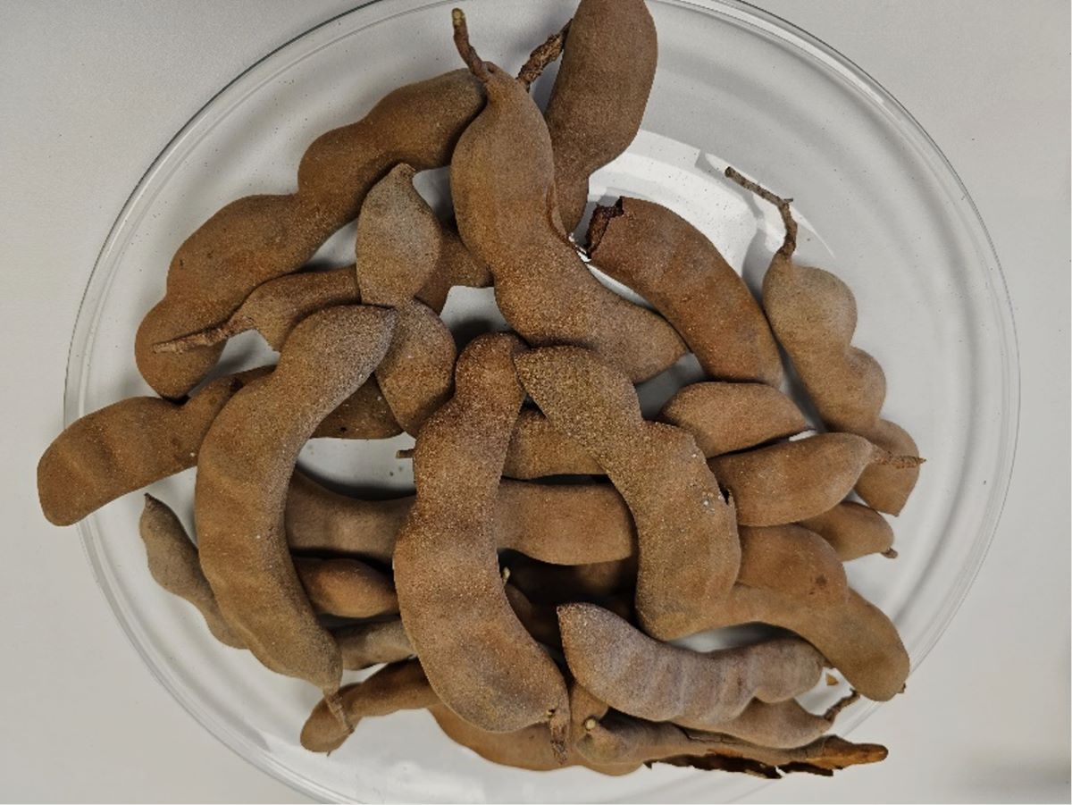 10 Tamarindos Plato