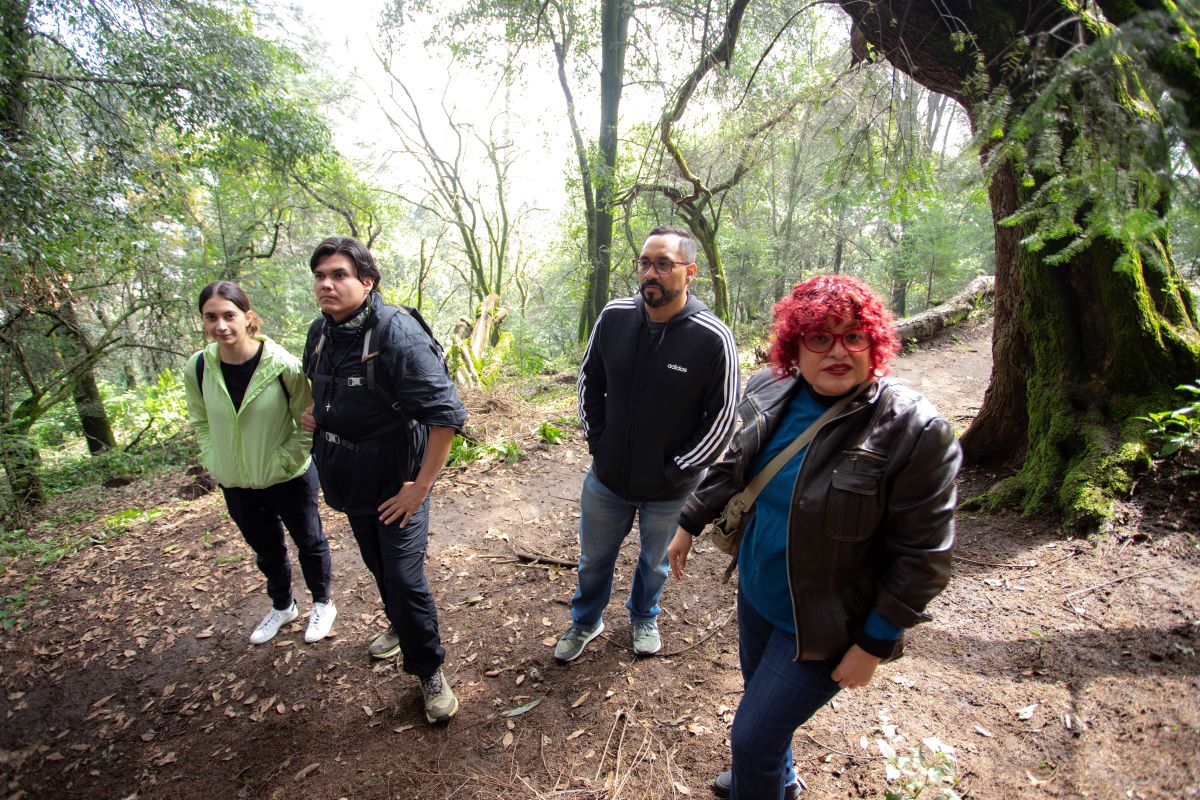 15 Head Reforestacion