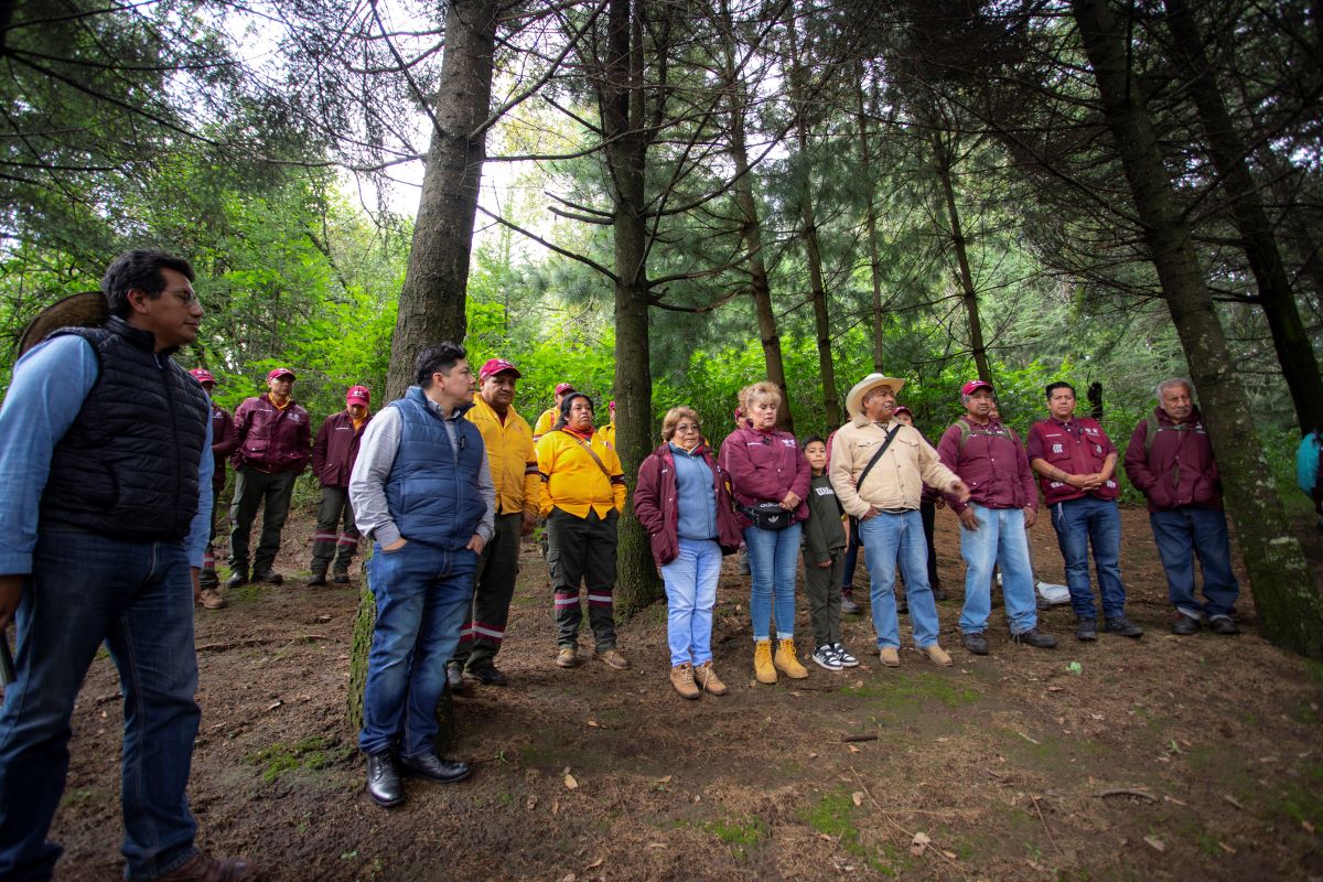 15 Reforestacion 01