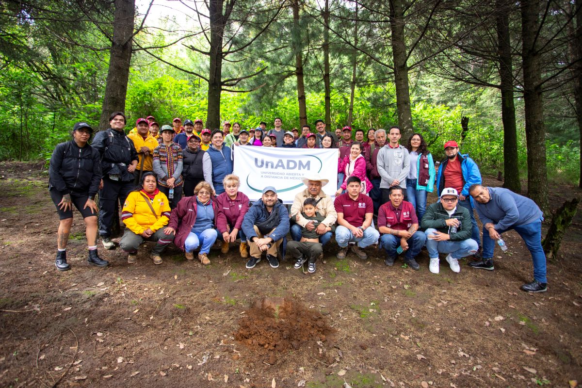 15 Reforestacion 03