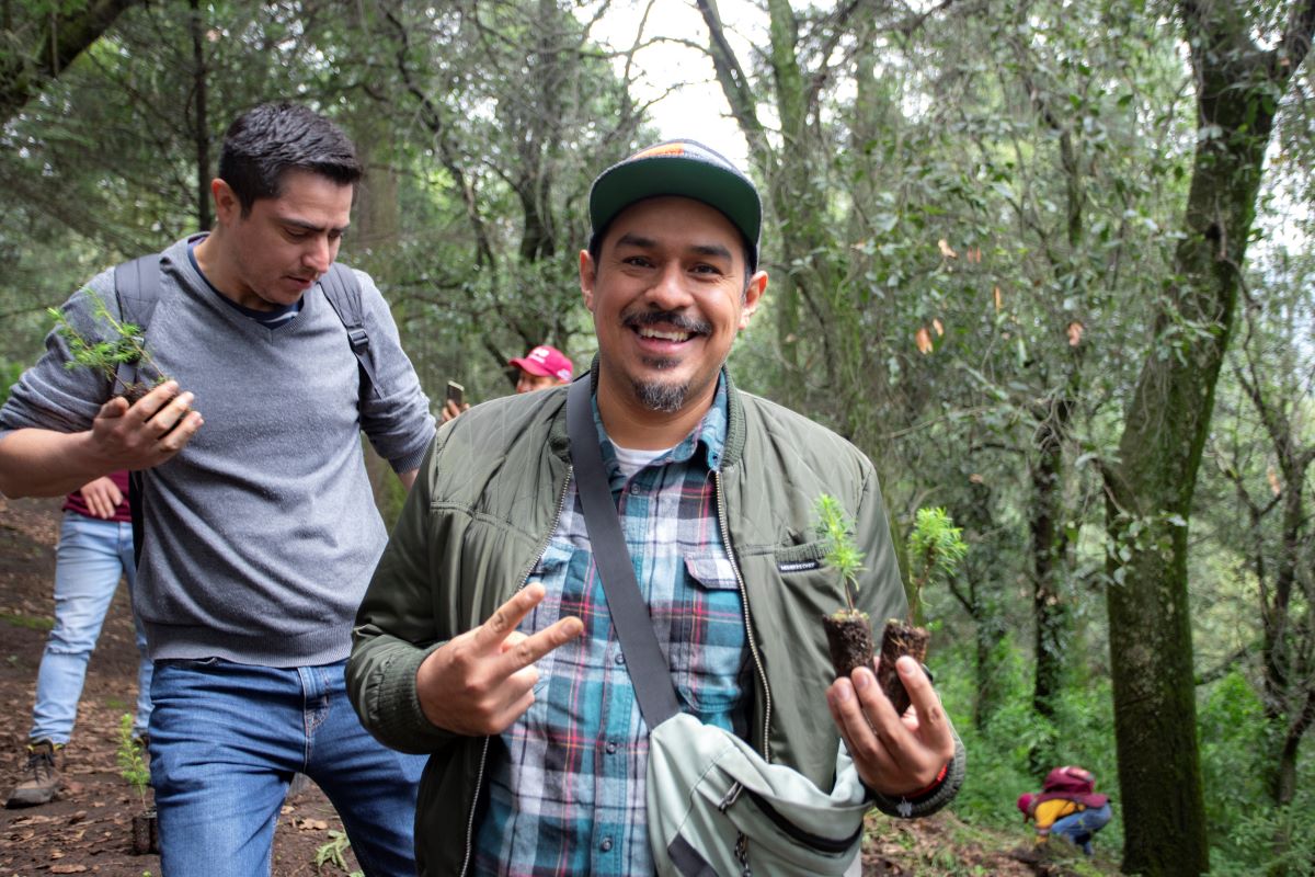 15 Reforestacion 04
