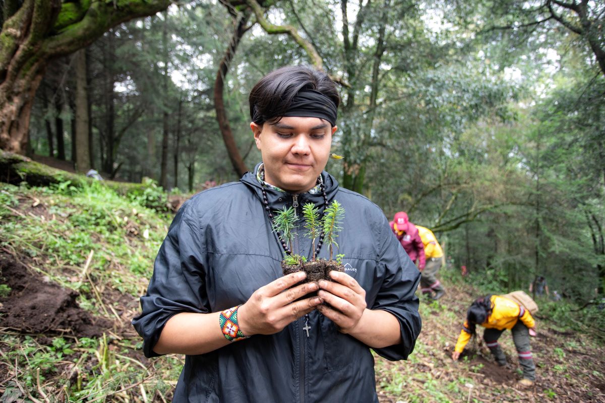 15 Reforestacion 06
